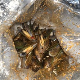 Mussels Mussels