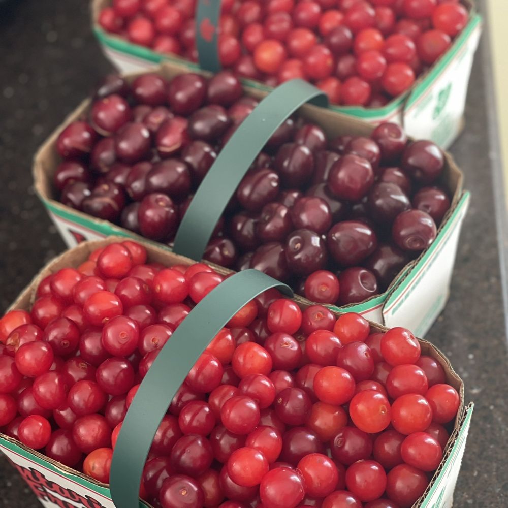 Cherry Avenue Farms - Farmers Market Near Me - Lincoln, Ontario Cherry Avenue Farms - Farmers Market Near Me - Lincoln, Ontario