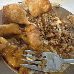 Hong Kong Chinese Restaurant - My sweet and sour chicken without the sauce included and greasy egg roll!