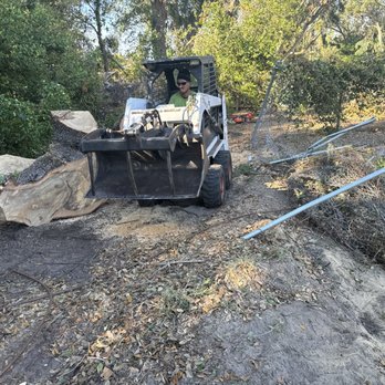 Stumped Tree Service - Tree Services Near Me Stumped Tree Service - Tree Services Near Me