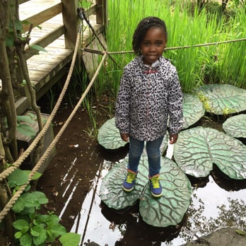 Prospect Park Zoo - My daughter liked jumping like a froggy on the lilli pads - Zoos Near Me - Brooklyn, New York Prospect Park Zoo - My daughter liked jumping like a froggy on the lilli pads - Zoos Near Me - Brooklyn, New York