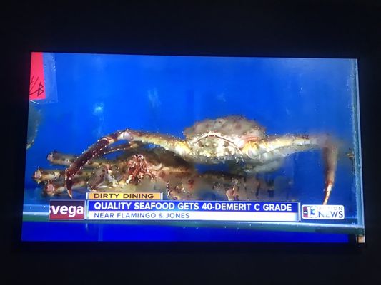 Quality Seafood by null