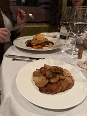 Vincent on Camelback by null