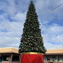 Anthem Outlets - Tree