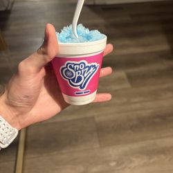 Tad's Shaved Ice - Small snowcone