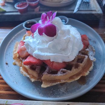 Tostadas - Churro Waffle - Breakfast & Brunch Near Me - San Jose, California Tostadas - Churro Waffle - Breakfast & Brunch Near Me - San Jose, California
