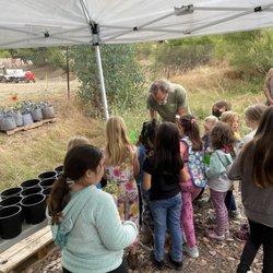 Caterpillar Chow - Learning about soil vs dirt & how to properly plant