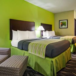Best Western Mt. Vernon Inn - Double Queens