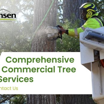 Hansen Tree - 10_Hansen Landscape & Tree Services_comprehensive tree trimming, stump grinding or residential tree services.jpg - Tree Services Near Me - Abington, Massachusetts