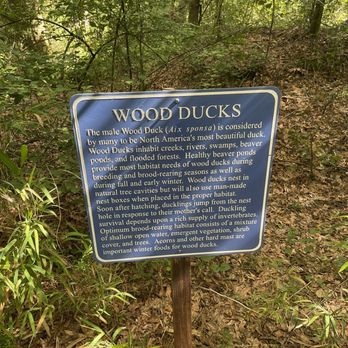 Muddy Creek Wetland Management - Parks Near Me Muddy Creek Wetland Management - Parks Near Me