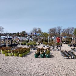 Trimble's of Corchaug Nursery
