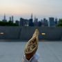 Photo of Queensbridge Park
