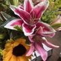Photo of All About Flower Power