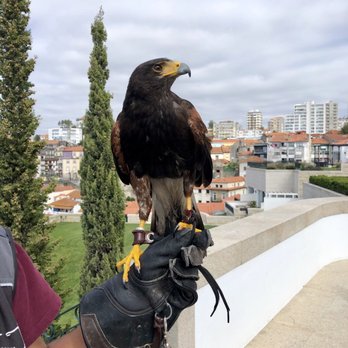 The Yeatman - Lucifer-helps harass The seagulls - Hotels Near Me - Vila Nova de Gaia, 13
