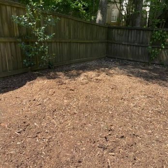 Impeccable Tree Stump Removal and Landscaping - Tree Services Near Me Impeccable Tree Stump Removal and Landscaping - Tree Services Near Me