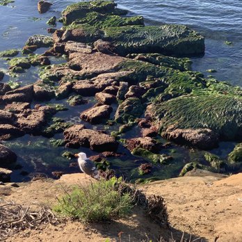 La Jolla Cove - 1.4.2019 - Parks Near Me - La Jolla, California