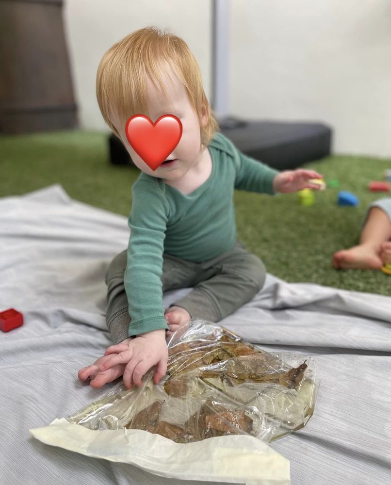 Maple Tree Academy - childcare center in Los Angeles, CA