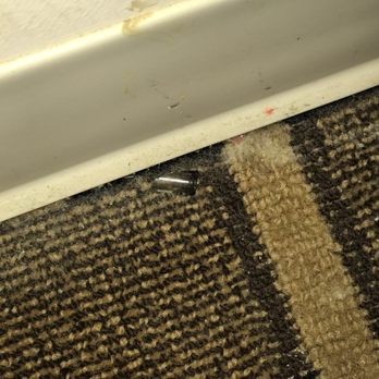 Naugatuck Motor Lodge - Broken crack pipe - Hotels Near Me - Naugatuck, Connecticut