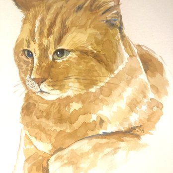 Portraits & Things - I'm offering $45 a pet + $5 shipping, $10 expedited shipping, or free shipping if you order 2 pets. - Commissioned Artists Near Me Portraits & Things - I'm offering $45 a pet + $5 shipping, $10 expedited shipping, or free shipping if you order 2 pets. - Commissioned Artists Near Me
