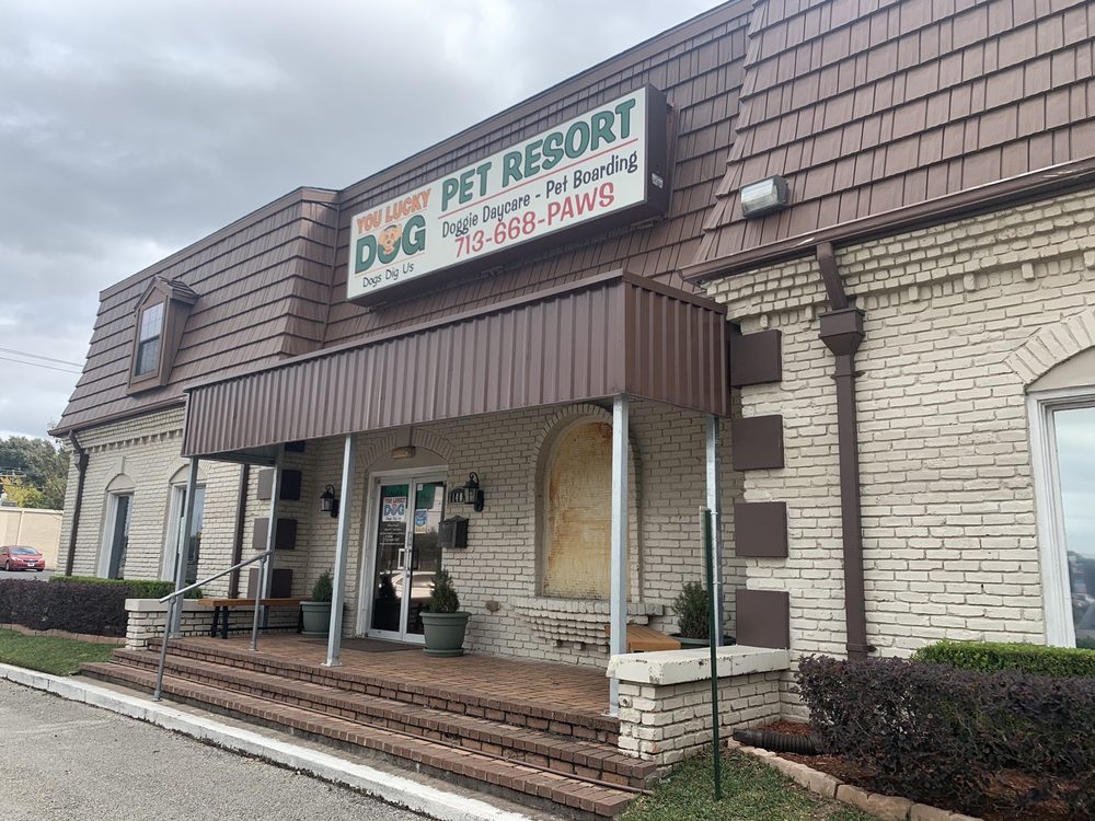 YOU LUCKY DOG PET RESORT HOUSTON Updated August 2024 29 Photos