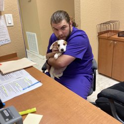 Pawsome Pet Care