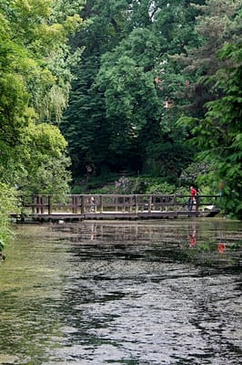 Botanical Garden of the University of Wrocław by null