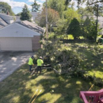 M. Ramirez Landscaping - Landscaping Near Me M. Ramirez Landscaping - Landscaping Near Me