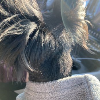 PetSmart - Pet Groomers Near Me - Louisville, Kentucky