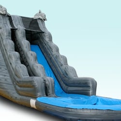 Dolphin Encounter Waterslide Rental.
