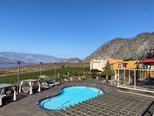 The Bear, The Fish, The Root & The Berry by null