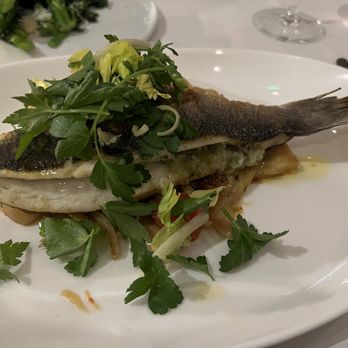 Luogo - Bland branzino - Italian Near Me - Nashville, Tennessee Luogo - Bland branzino - Italian Near Me - Nashville, Tennessee