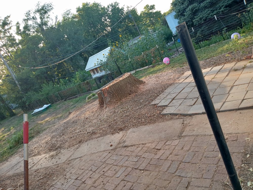 Wanted Dead or Alive Tree Service - tree service in Lincoln, NE