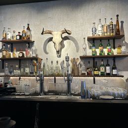 Bar Bar