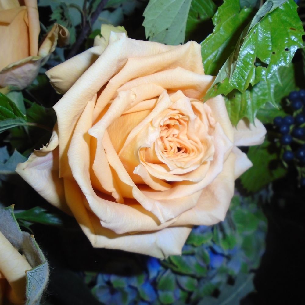 Roger Beck Florist - Florists Near Me - Minneapolis, Minnesota