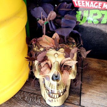 Tilted cafe - More spooky cuteness - Bars Near Me - Hiawassee, Georgia