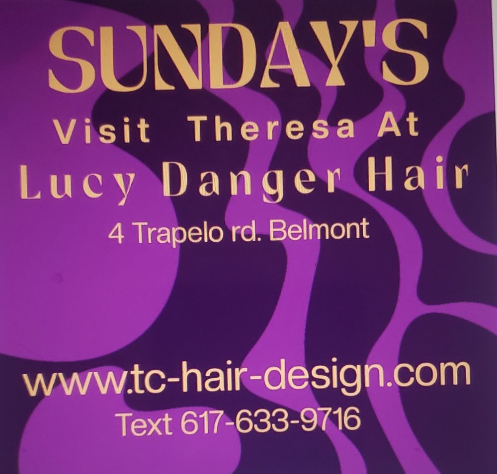 Lucy Danger Hair Logo