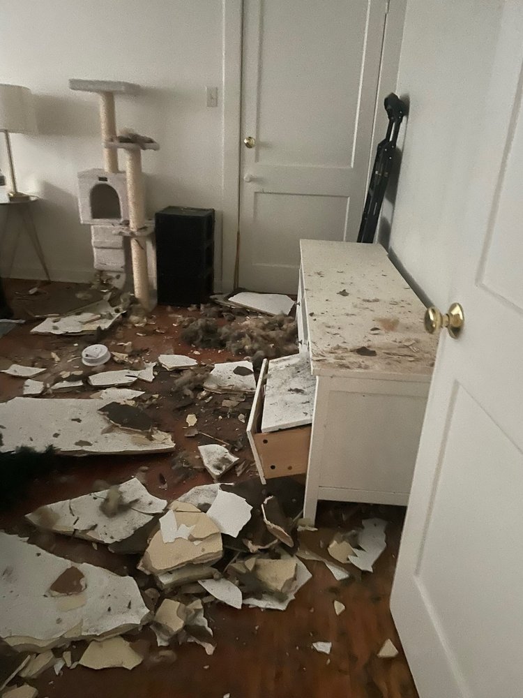 MASELLI PROPERTIES Updated September 2024 1401 Saint Andrew St, New