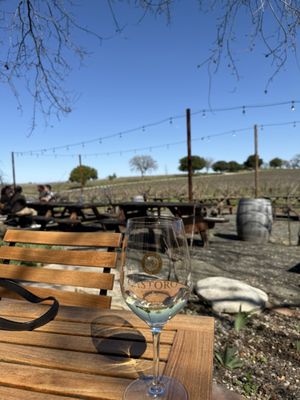 Castoro Cellars Vineyards & Winery by null