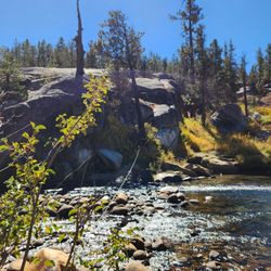 Mono Hot Springs