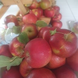 Apples are really good Apples are really good
