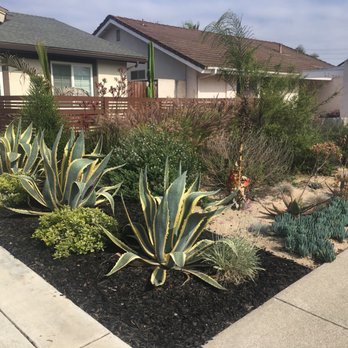 Dirty Work Landscape Company - Landscaping Near Me