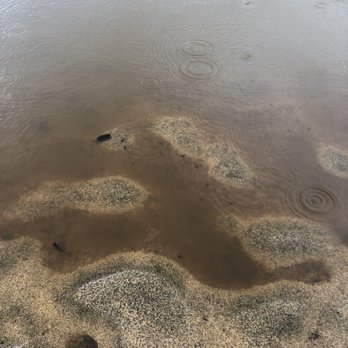 Secret Beach & Lava Pools - Tadpoles - Beaches Near Me Secret Beach & Lava Pools - Tadpoles - Beaches Near Me