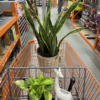 The Home Depot - Nurseries & Gardening Near Me - Oceanside, California