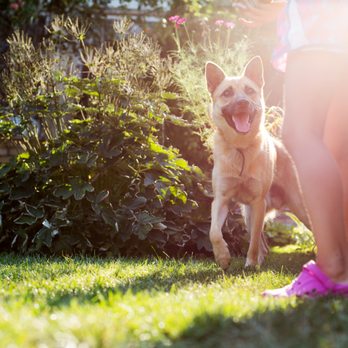A3 Superior Pest Control - Trained to be safe around children and pets. - Pest Control Near Me - Matamoras, Pennsylvania