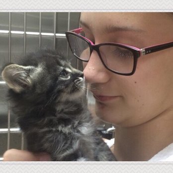 Mission Veterinary Clinic - Nothing but loving kindness provided here. Dr Eyrich is highly skilled, and knowledgeable in multiple areas. - Veterinarians Near Me - Rio Rancho, New Mexico