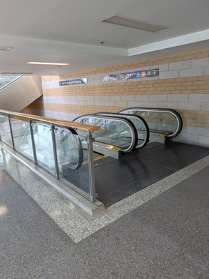 Enercare Centre by null