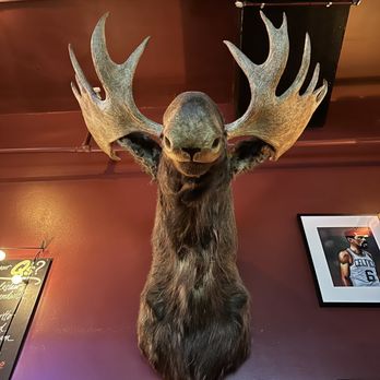 Rudi's - Moose - Sports Bars Near Me - San Francisco, California Rudi's - Moose - Sports Bars Near Me - San Francisco, California