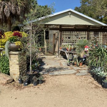 Enchanted Forest - Misc greenhouse - Nurseries & Gardening Near Me - Richmond, Texas