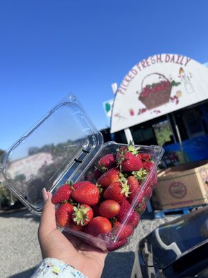 Family Farms by null