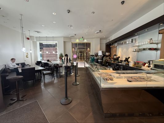 The Wild Fox by null